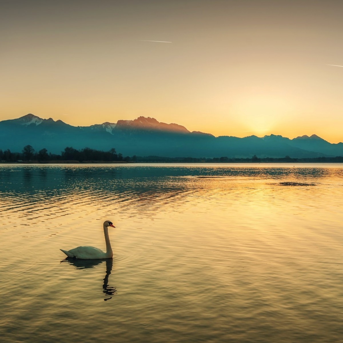 Chiemsee (1)